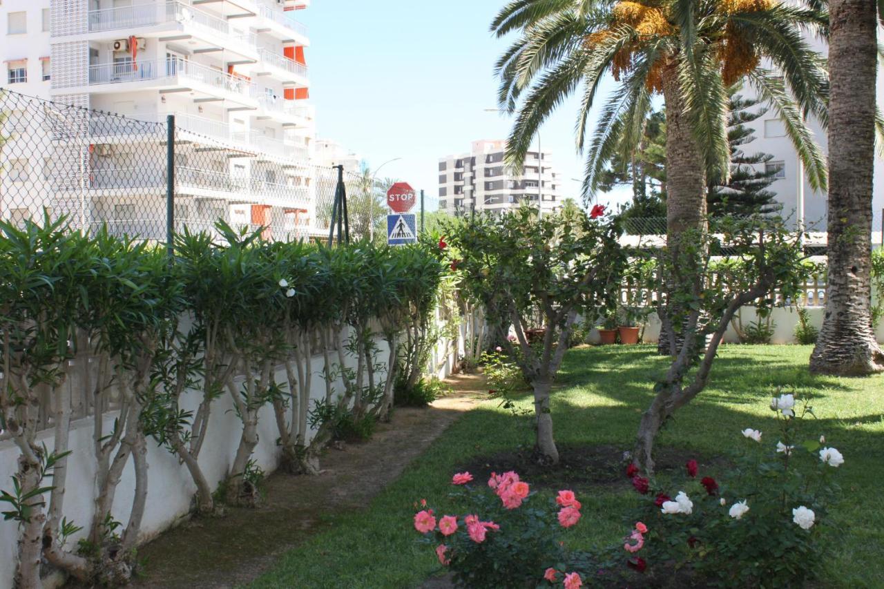 Flamingo Solo Familias Serviplaya Playa de Gandia Kültér fotó